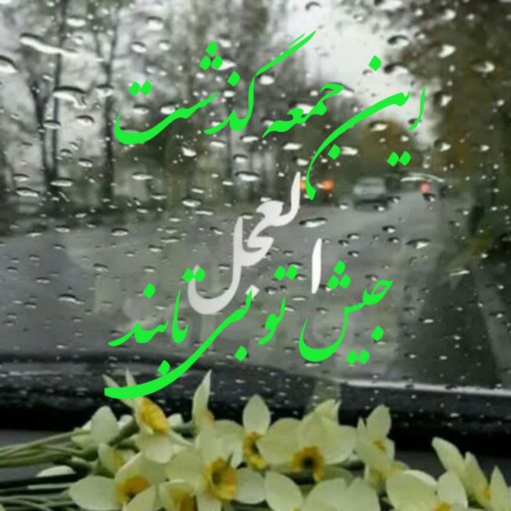 #العجل _توبیا